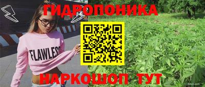 спиды Ипатово