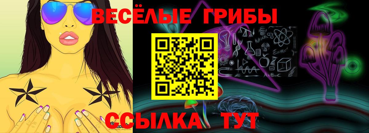 Псилоцибиновые грибы MAGIC MUSHROOMS Дмитров